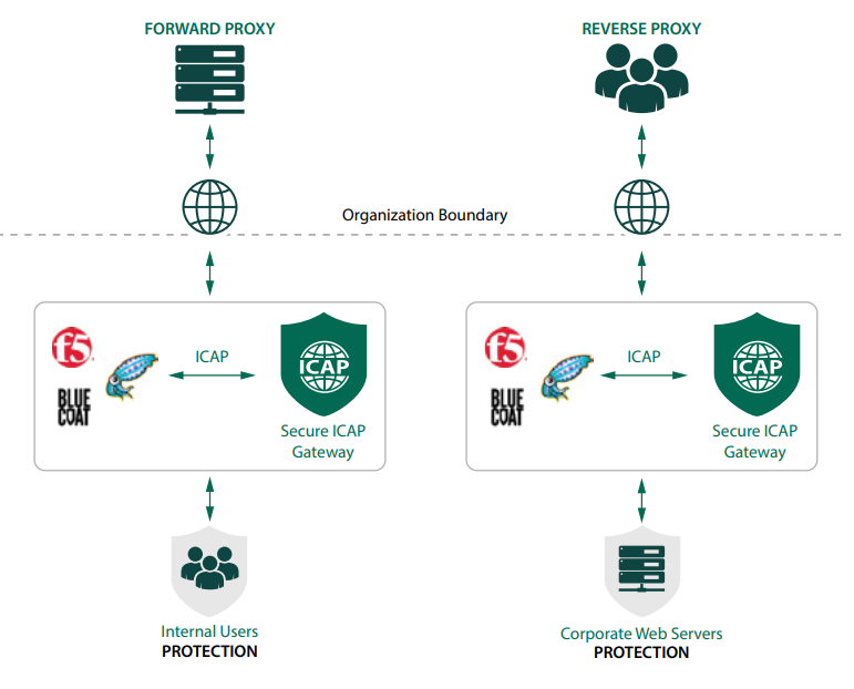 Forward and Reverse Proxy